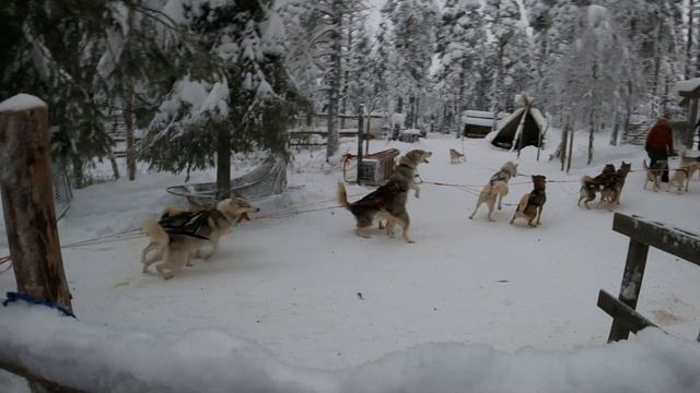 Levi Lappland FinLand - Skiin in Mountains