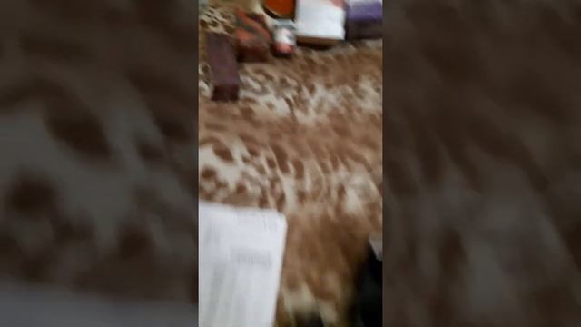 Триммер ROWENTA за 1 рубль