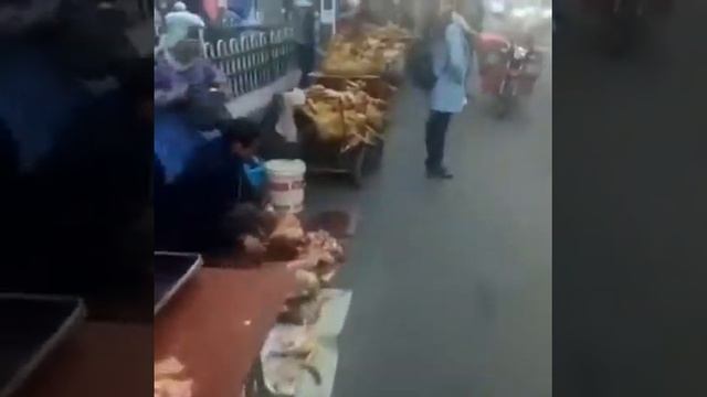 ШООК!!!!! Мясо собаки