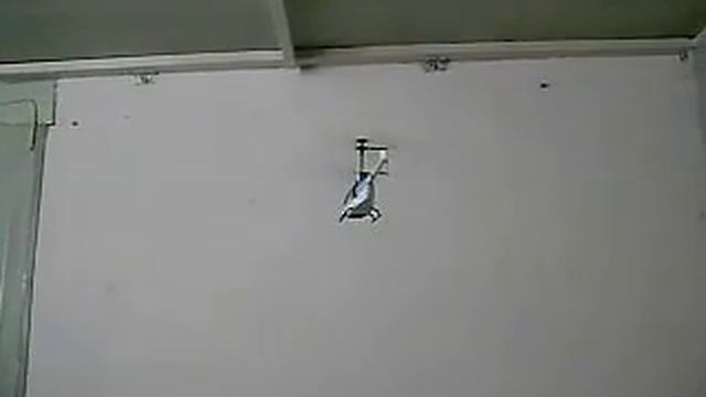 Bell RC Syma S030G helicopter test flight