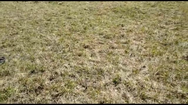 Копаем в не битых деревнях СССР.