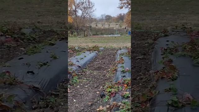 Монастырь Топловский...