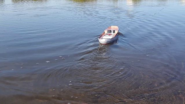 Букстр-толкач , перавя вода