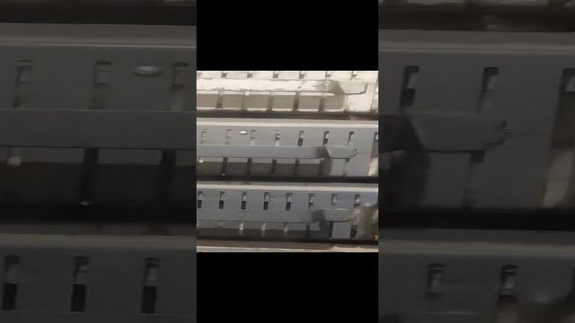 VID_20240405_111042.mp4