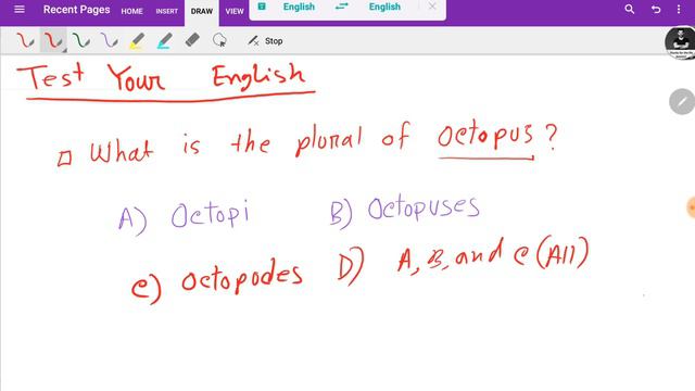 00111000 English Grammar Test Practice Questions: Plural of OctopusPlural for Octopus