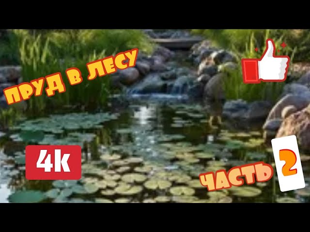 Пруд в лесу своими руками. #2