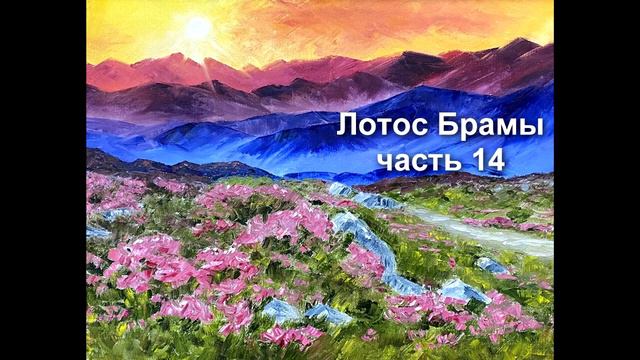 Лотос Брамы 14