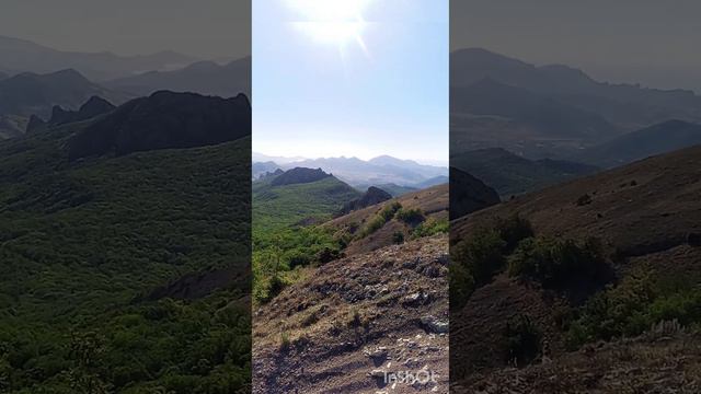 Крымский лес