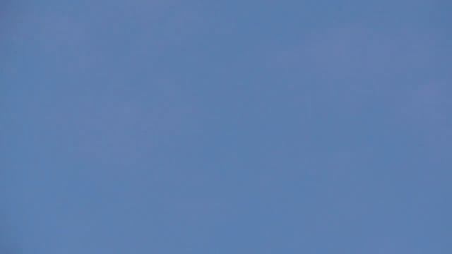 Не моего голубя так чужого Сапсан добивается своего. Falcon Peregrine still caught a pigeon