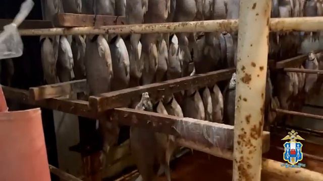 Сотрудники донской полиции выявили нарушения ветеринарно-санитарных правил в рыбном цеху