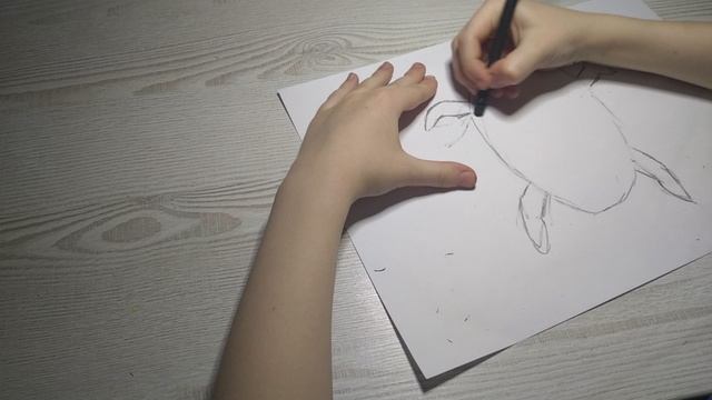 как рисовать черепаху