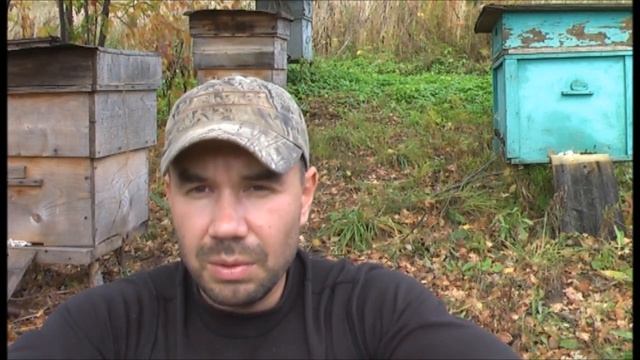 ПОДГОТОВКА ПЧЁЛ к ЗИМОВКЕ. | НАЕДИНЕ С ПРИРОДОЙ
