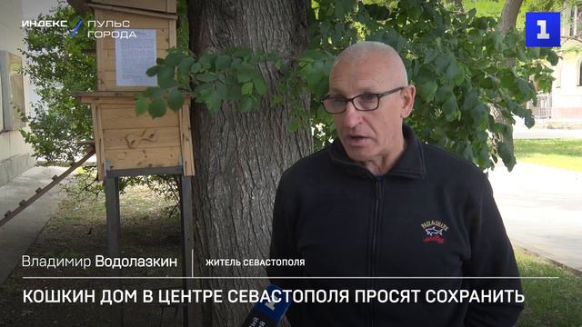 Кошкин дом в центре Севастополя просят сохранить