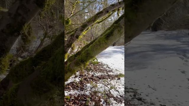 #relaxingnature