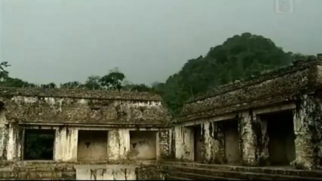 Паленке.Древняя столица Майя.Утраченные миры . . Тартт тайная история.
