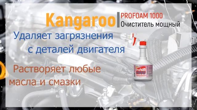 Kangaroo Profoam 1000 - мощный очиститель
