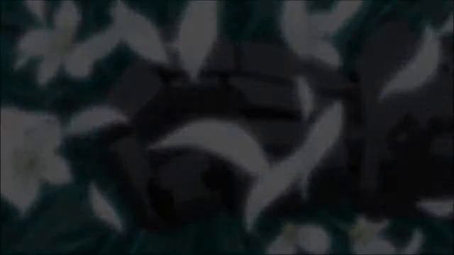 Remix Стальной алхимик - Брат за брата