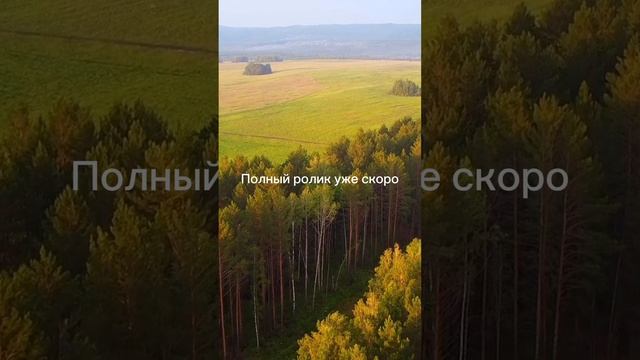 Ожидайте  skibidi  toilet