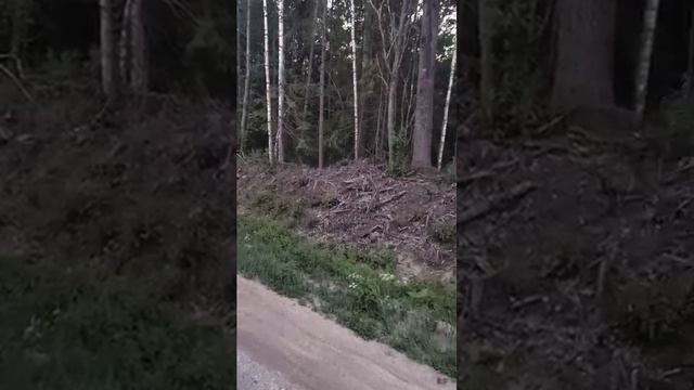 неужели сложно довести мусор до заправки, ведь каждый день на нее заезжаешь!?