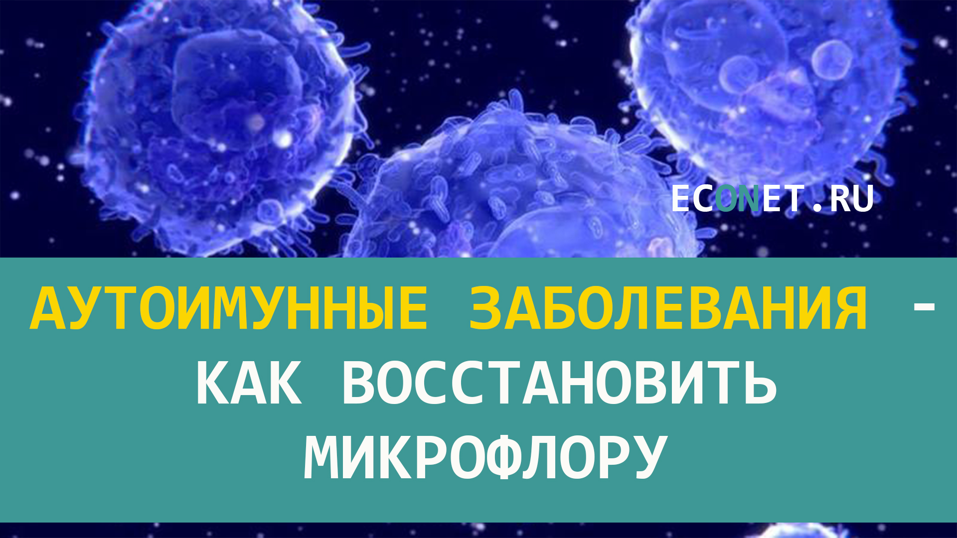 Аутоимунные заболевания, как восстановить микрофлору