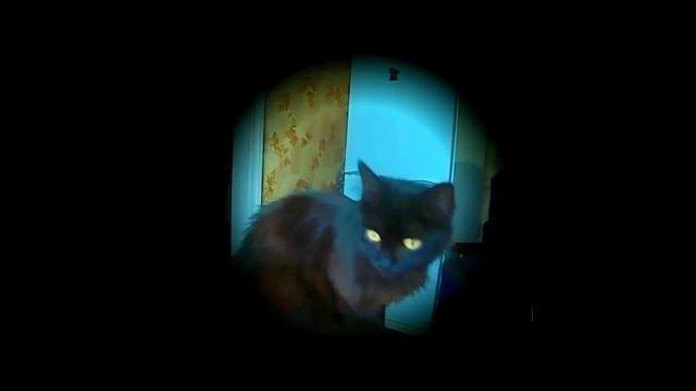 И стало не по себе.mp4
