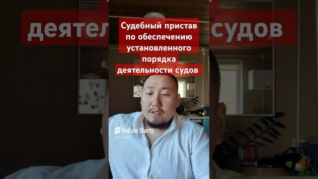 Кто такой судебный пристав? Виды юридических профессий #юрхакер #суд #бизнес #долги  #закон #фссп