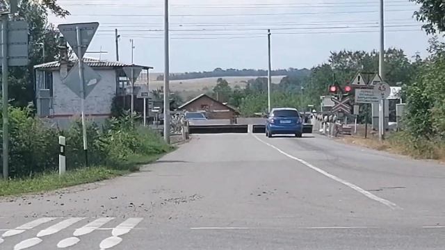 Мини сборник поездов возле О.П. Совхоз-1