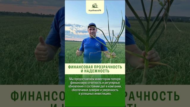 Преимущества проекта «Чеснок 2024» Инвестиции в сельское хозяйство АгроИнвестРФ Урожай чеснока