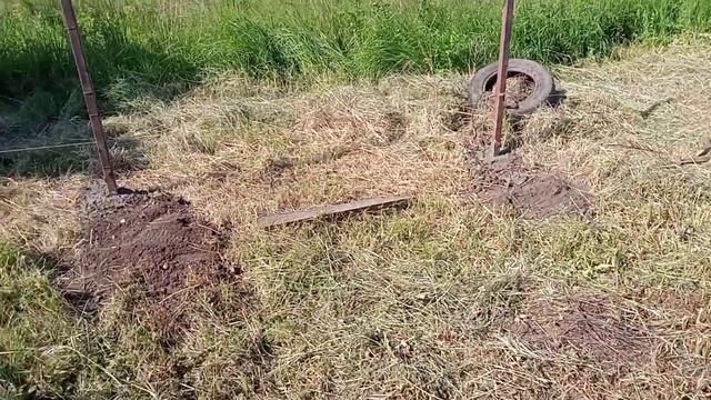 новости с участка, прогулка по границе
