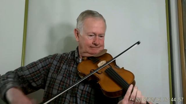 Gliga Maestro Violin Prim Strings- Angelina the Baker