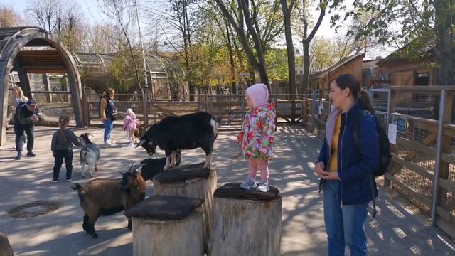 24.04.2024 Прогулка по Московскому зоопарку
