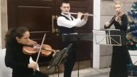 Scent of a woman. String quartet with flute.