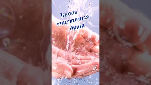 Смотреть видео онлайн