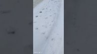 30 ноября 2023 г.