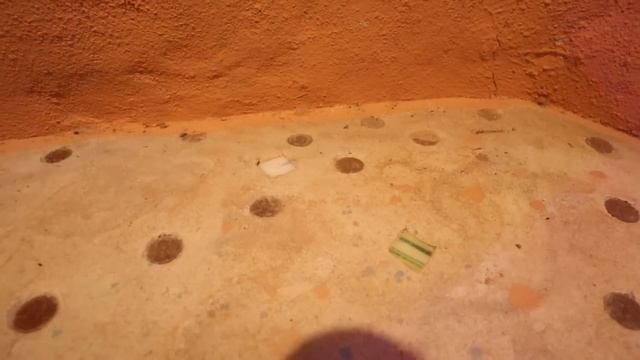 Desert Living Off the Grid 100% Self Sustaining In An Earthship Tour