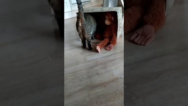 Это коммунальная, коммунальная квартира.Кому понравилось ставьте лайк. Подписывайтесь на мой канал