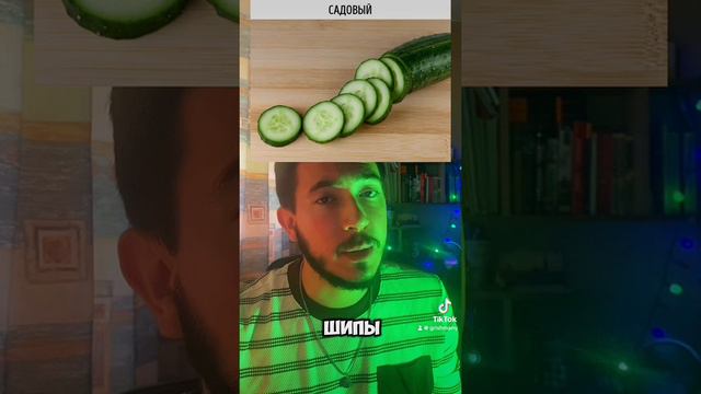 Зачем огурцу нужны пупырышки ? 🥒