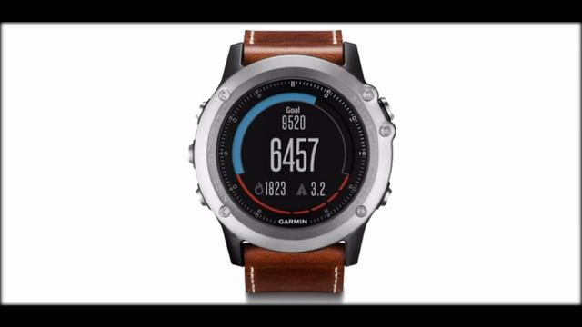 Garmin Fenix 3 Sapphire Silver with Leather Band (010-01338-62)