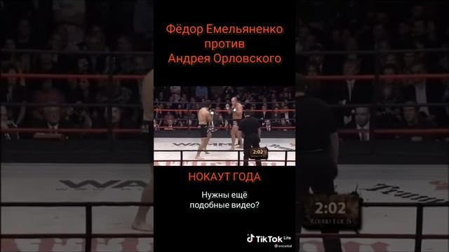 бои Федор Емельяненко и Юрий Бойко
