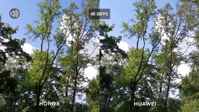 Honor 20 Pro vs Huawei Mate 20 Pro - Camera Test Comparison! Big Difference?