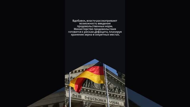 В Германии опубликовали план действий властей на случай войны с Россией.