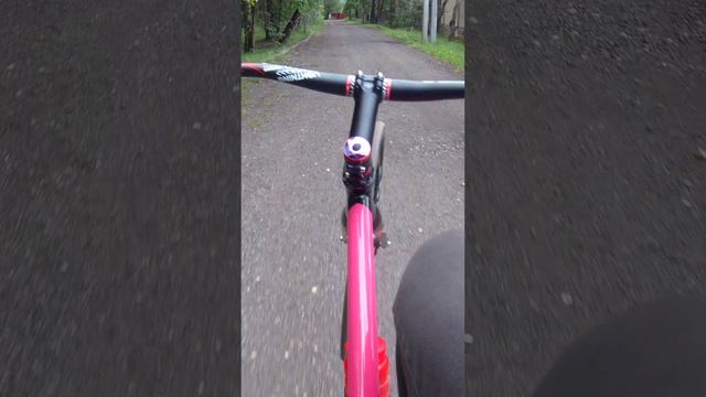 Wheelie gravel fixed gear