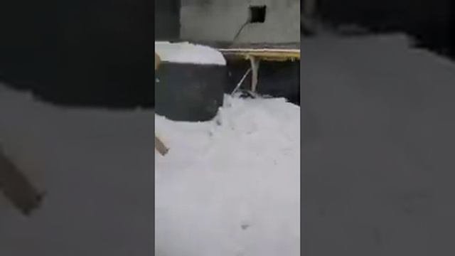 Бахаи ванчи суханхои бехтарин