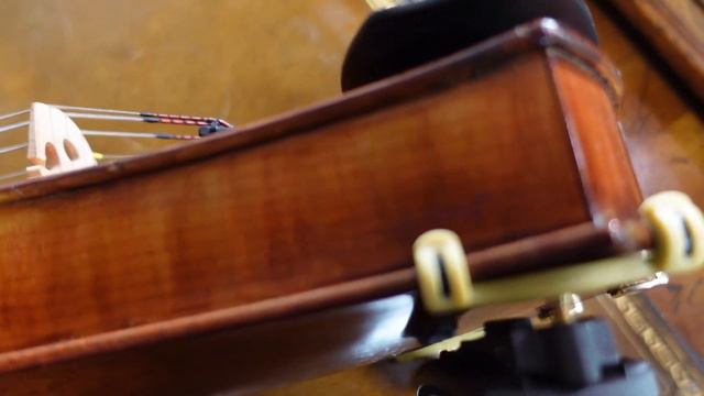Model S Project Acoustic/Electric Violin #electricviolin #violin