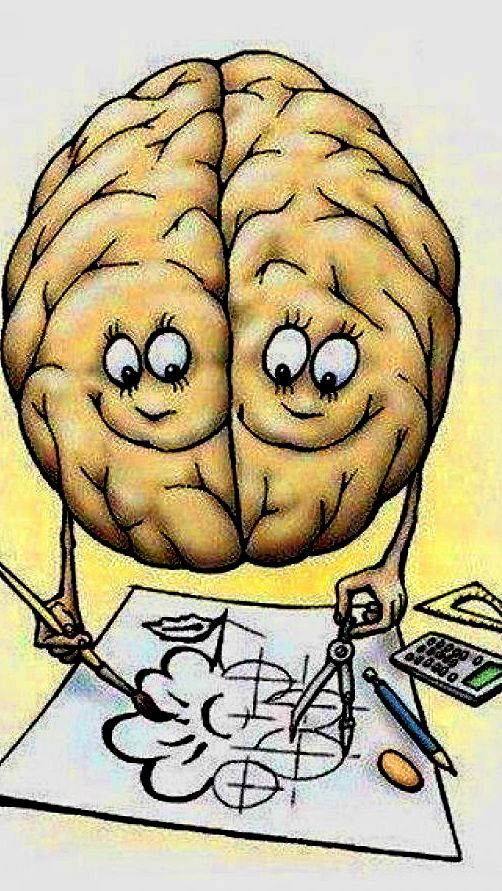 Появление человеческого мозга!