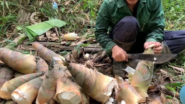 Survival instinct wilderness alone harvesting bamboo shoots Building a life Ep 174
