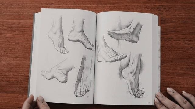 Flip Through | Drawing: A Complete Guide