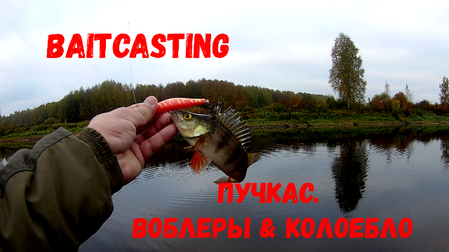 БЕЙТКАСТИНГ. ВОБЛЕРЫ&КОЛЕБЛО