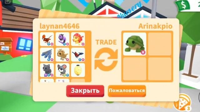 трейды на черепаху моя мечта збылась урааааааа