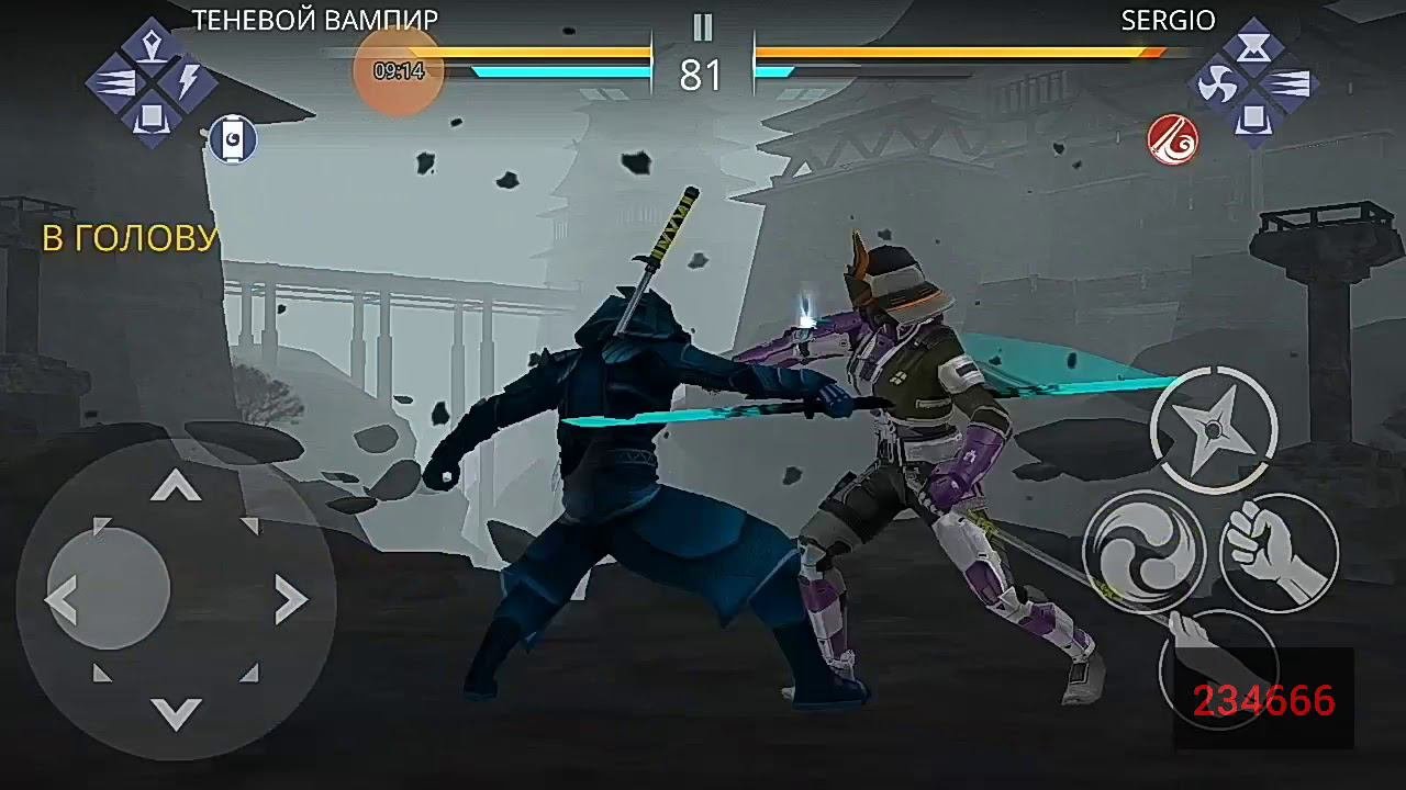 Shadow Fight 3